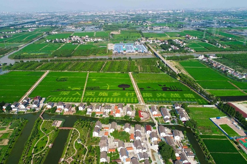 農(nóng)村人居環(huán)境整治提升5年行動(dòng)將啟！2021中央一號(hào)文件正式發(fā)布