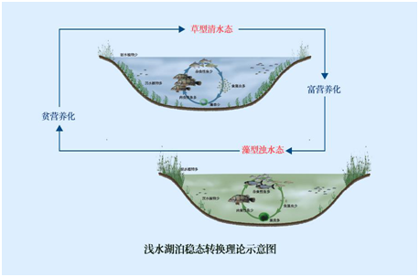 我國水生態(tài)環(huán)境修復(fù)現(xiàn)狀分析解讀(上)- 我國水生態(tài)環(huán)境修復(fù)現(xiàn)狀分析解讀(上)-