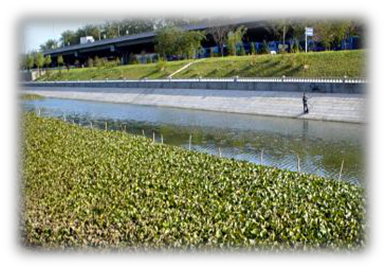 我國水生態(tài)環(huán)境修復(fù)現(xiàn)狀分析解讀(下)- 我國水生態(tài)環(huán)境修復(fù)現(xiàn)狀分析解讀(下)-