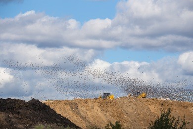 固廢處理技術(shù)發(fā)展情況與未來(lái)發(fā)展趨勢(shì)