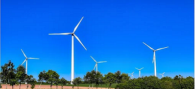 “兩高”項目盲目發(fā)展有哪些表現(xiàn)？看中央生態(tài)環(huán)保督察怎么說