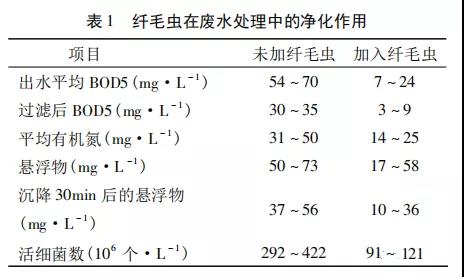 活性污泥中毒的原因及控制調(diào)節(jié)- 活性污泥中毒的原因及控制調(diào)節(jié)-