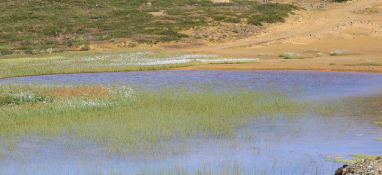 污泥違法違規(guī)處置問題屢屢發(fā)生 如何做好資源化利用？