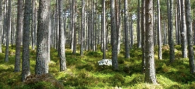 2022年環(huán)境專項執(zhí)法已經(jīng)開始！這些企業(yè)是檢查重點！