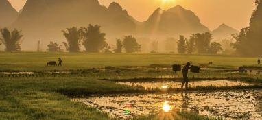 污泥含水率太難降？加點藥劑試試！