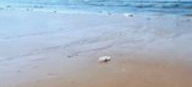 在年產(chǎn)量突破1億噸前，破解污泥“圍城之殤”！