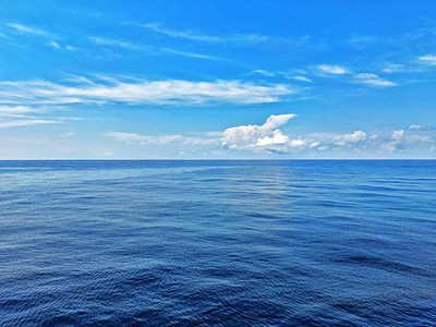 國際環(huán)保展|東海啟動生態(tài)休漁期 多部門聯(lián)合守護海洋生命線