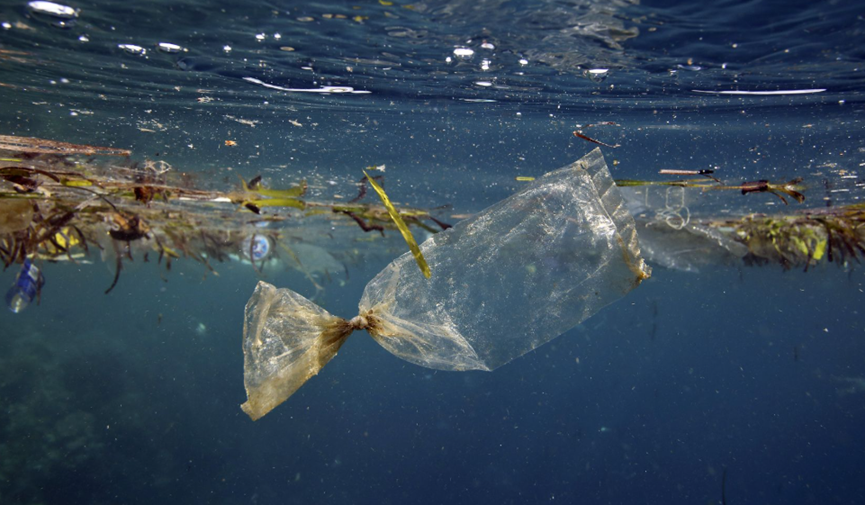 上海國(guó)際環(huán)保展|世界環(huán)境日聚焦塑料污染治理 全球行動(dòng)刻不容緩