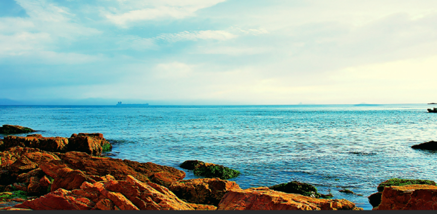 國(guó)際環(huán)保展|碧海金沙間的生態(tài)復(fù)興——中國(guó)最北海岸線治理紀(jì)實(shí)